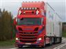 Klicka f�r st�rre bild