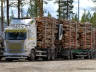 Klicka f�r st�rre bild